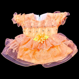 Fancy-Frock-Net-Orange-Color